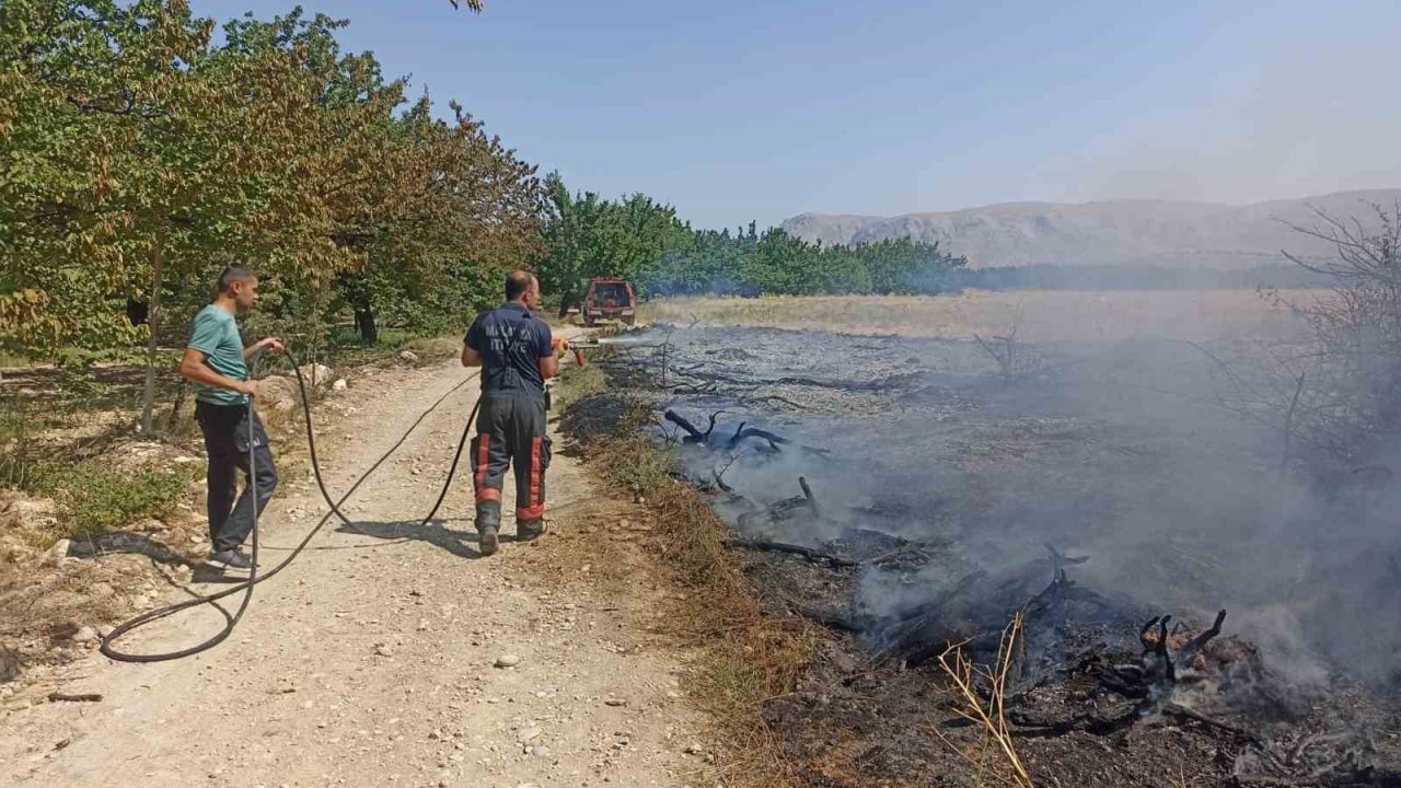 Malatya’da anız ve bahçe yangınları