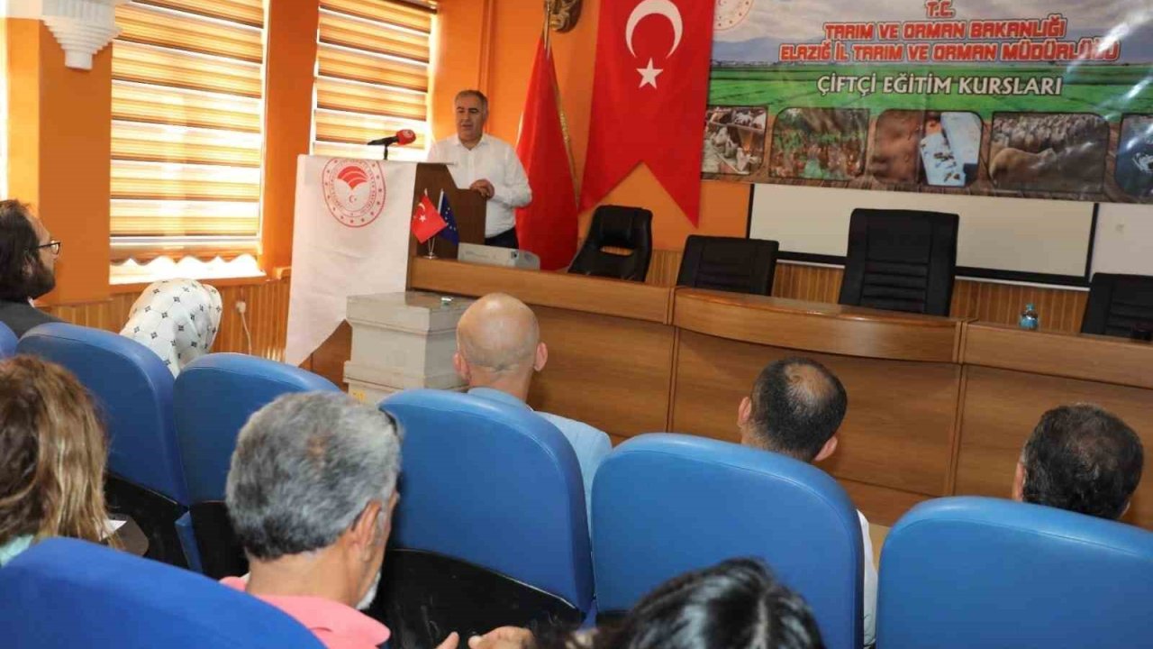 Elazığ’da arıcılık kursları başladı