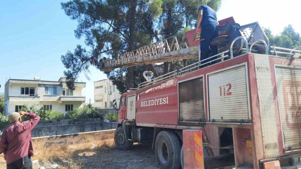 Ağaçta mahsur kalan papağanı itfaiye ekipleri kurtardı