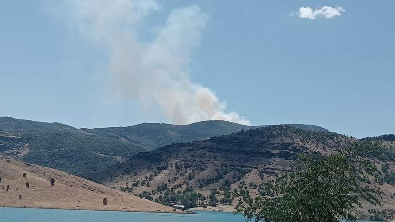 Tunceli’de orman yangını