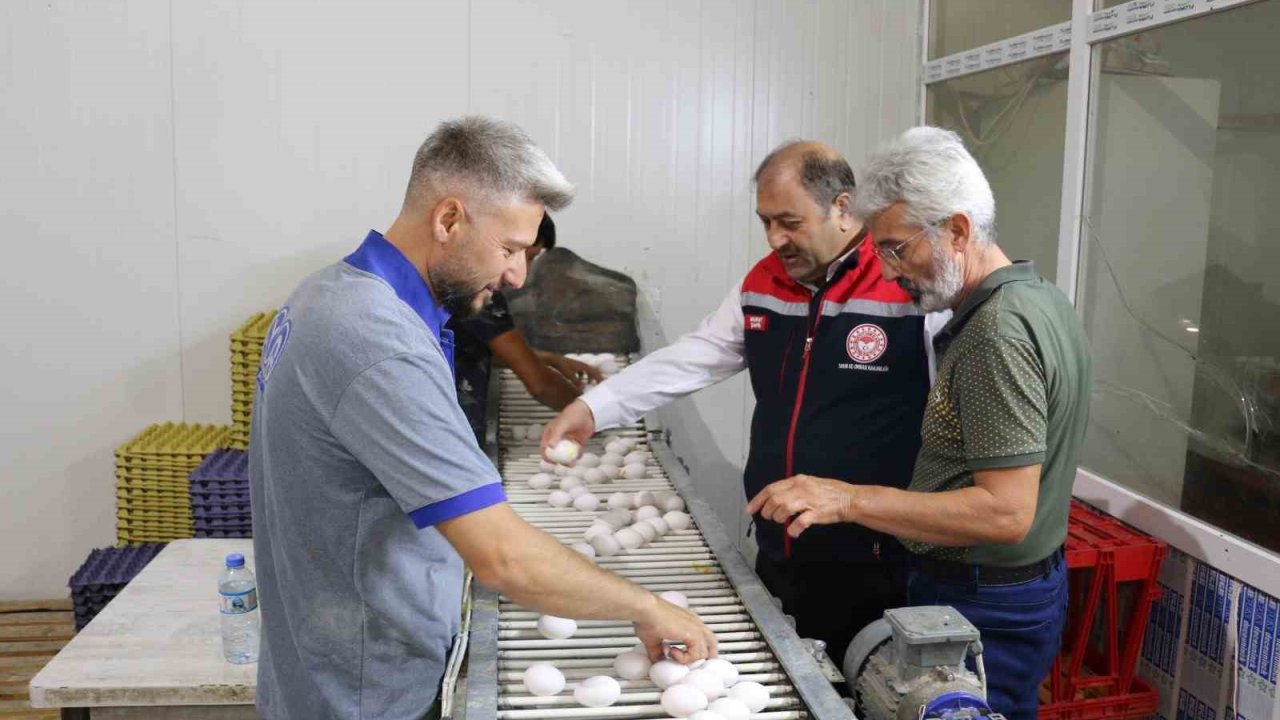 Erzincan’da tam otomatik tesislerde üretilen yumurtalar tarıma değer katıyor