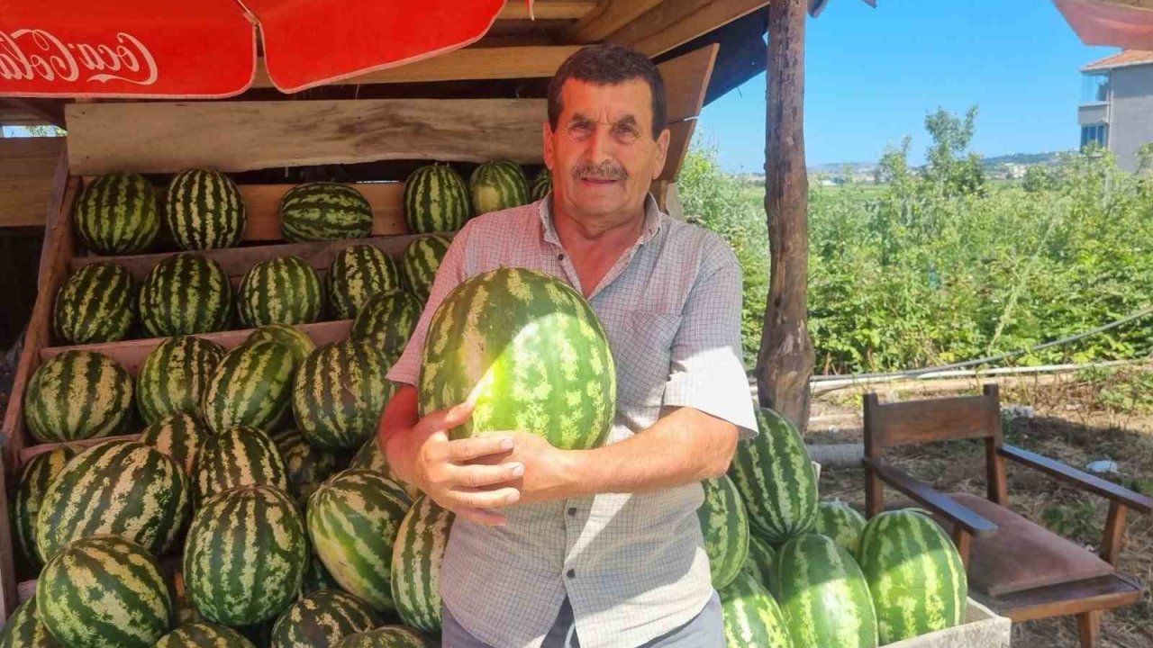 Sinoplu karpuz üreticisinin yüzü gülüyor