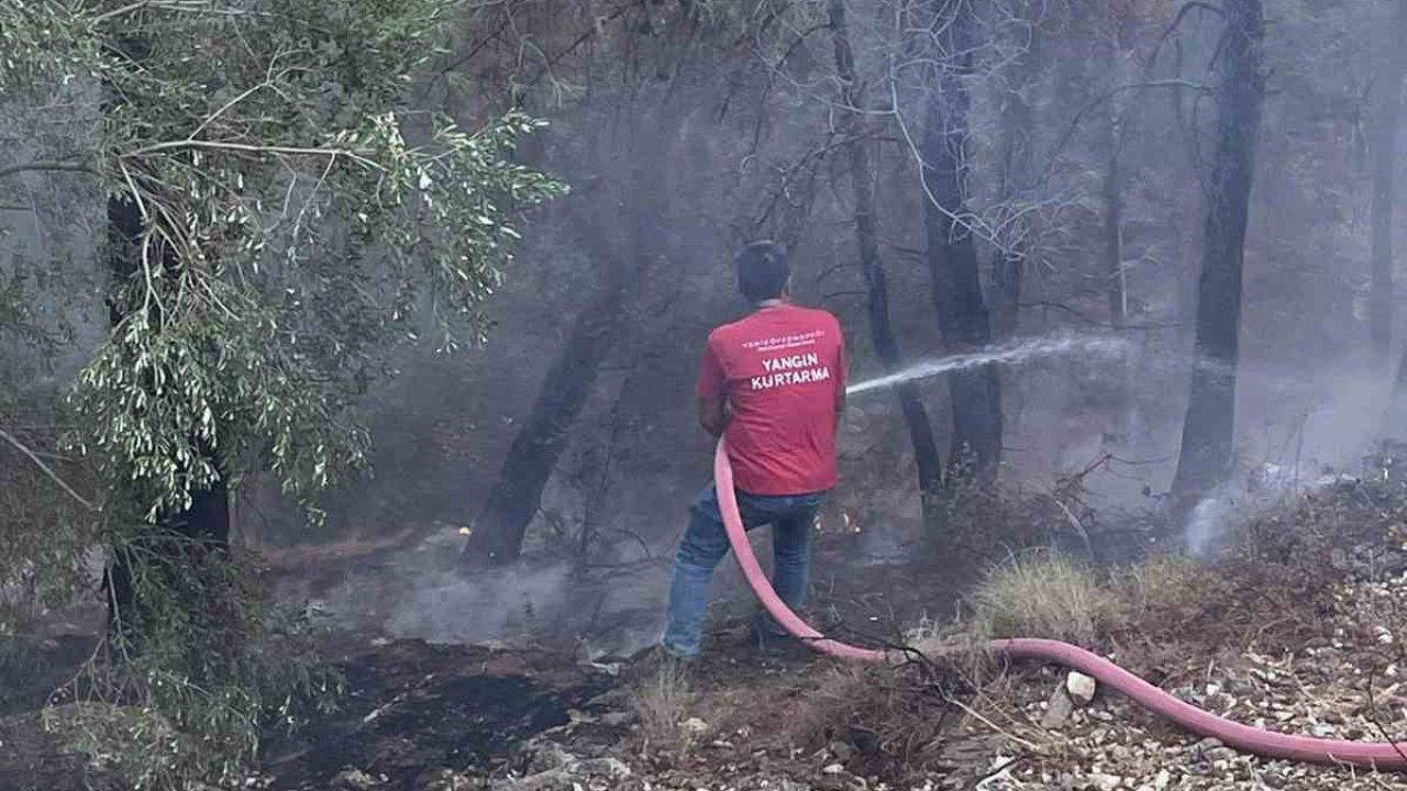 Milas yangınına bölgedeki Termik Santral ekipleri de müdahale ediyor