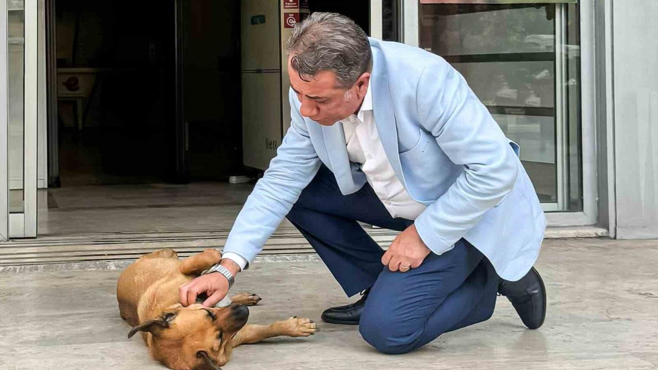 Efeler’de sahiplendirme kampanyası başladı, ilk desteği Başkan Yetişkin verecek