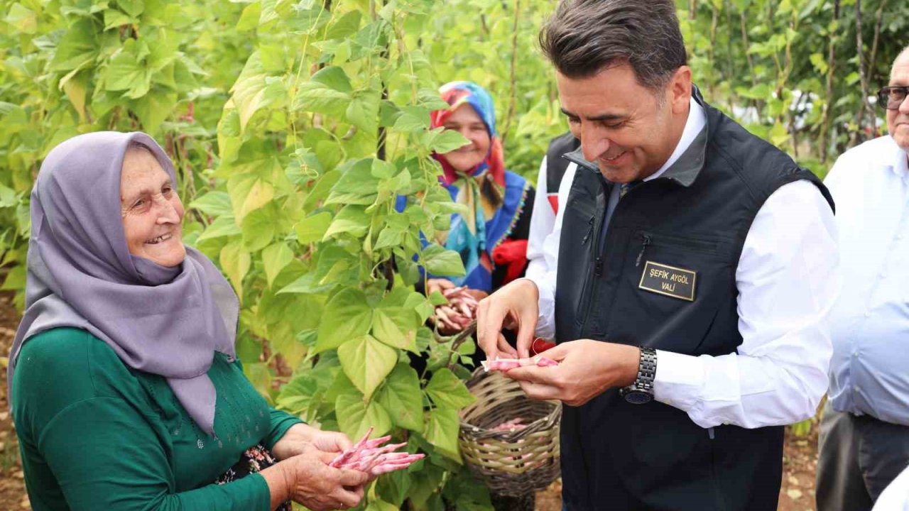 Türkiye’nin en güzel barbunyası: ’Kınık Barbunyası’