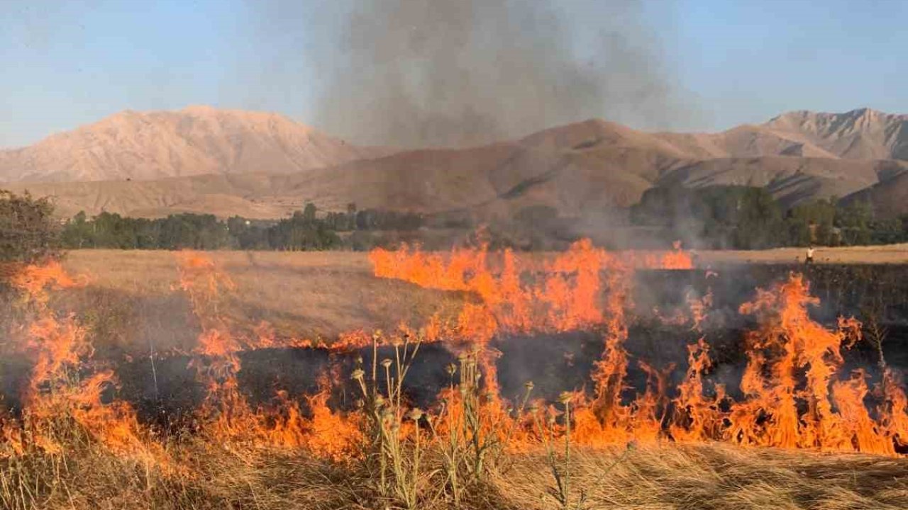 Gevaş’ta ot yangını