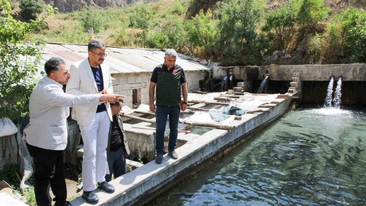 Vali Çelik, alabalık tesislerinde incelemelerde bulundu