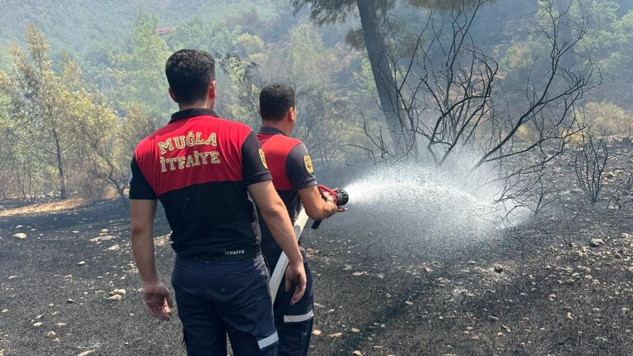 Marmaris’teki orman yangını hızlı müdahale ile söndürüldü