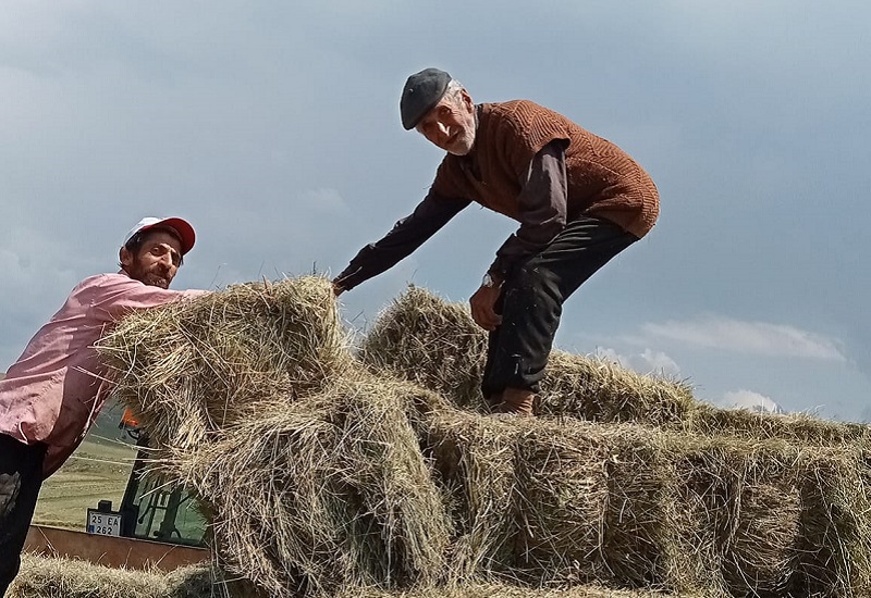 Kars'ta Çiftçinin kış hazırlığı devam ediyor