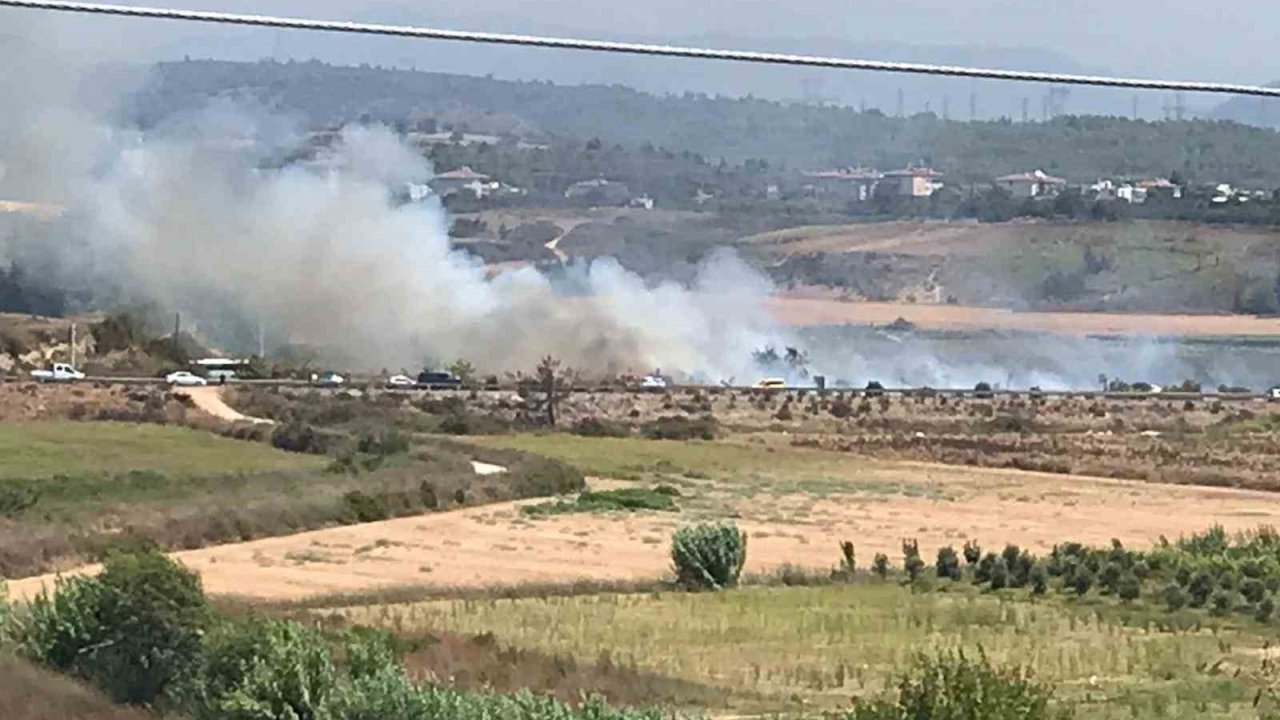 Sigara izmariti yangına neden oldu, dumanlar karayolunu kapladı