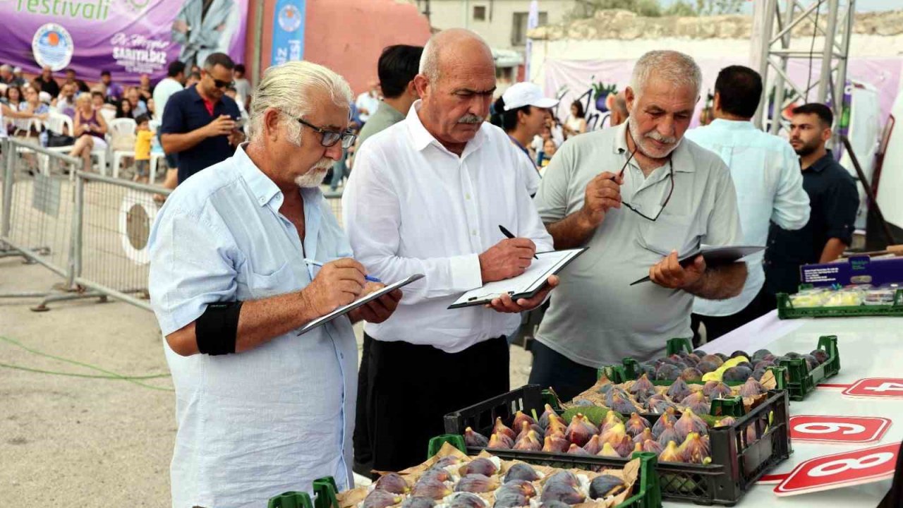 Mersin’de ’Bağlarbaşı İncir Festivali’ düzenlendi