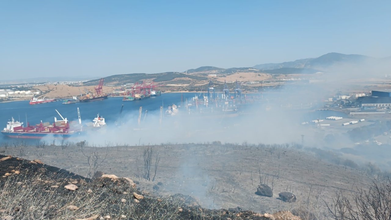 İzmir’de orman yangını