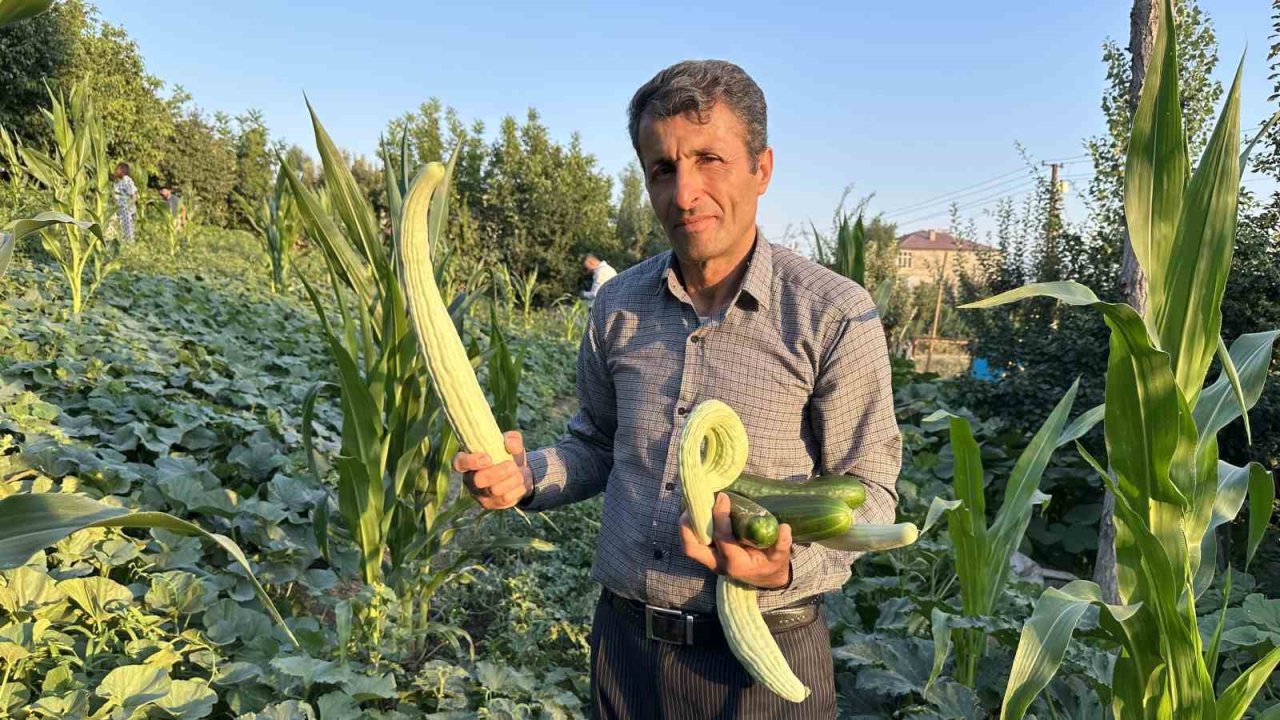 Yüksekova’da örnek çiftçi: A’dan Z’ye tüm ürünlere hayat verdi