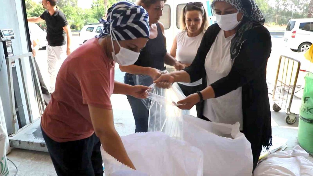 Akdeniz Belediyesinin ürettiği ekmeklik buğdaydan elde edilen un sofralara ulaştı