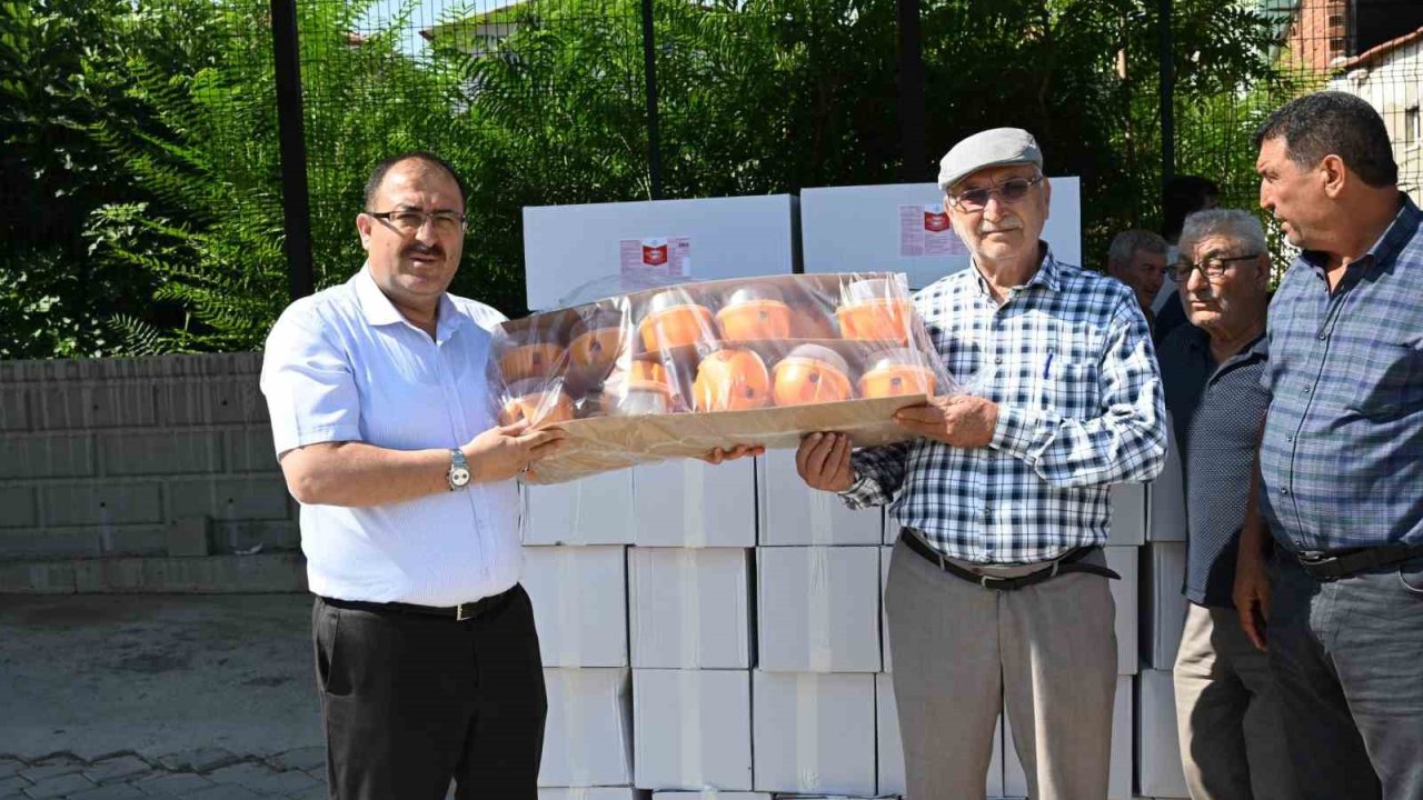 Denizli’de Akdeniz meyve sineği zararlısına karşı çiftçilere tuzak dağıtıldı