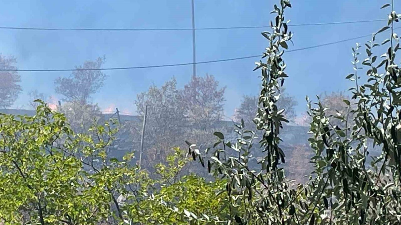 Arguvan’da çıkan yangın meyve ağaçlarına zarar verdi