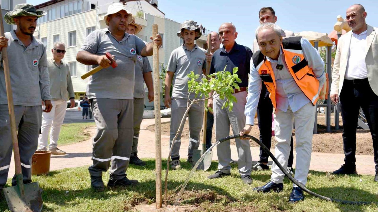 Yenilenen parka ilk ağaç fidanı Kocagöz’den