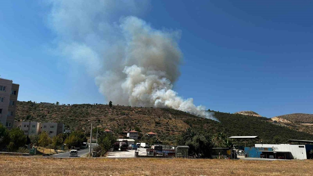 Milas’ta zirai alan yangını