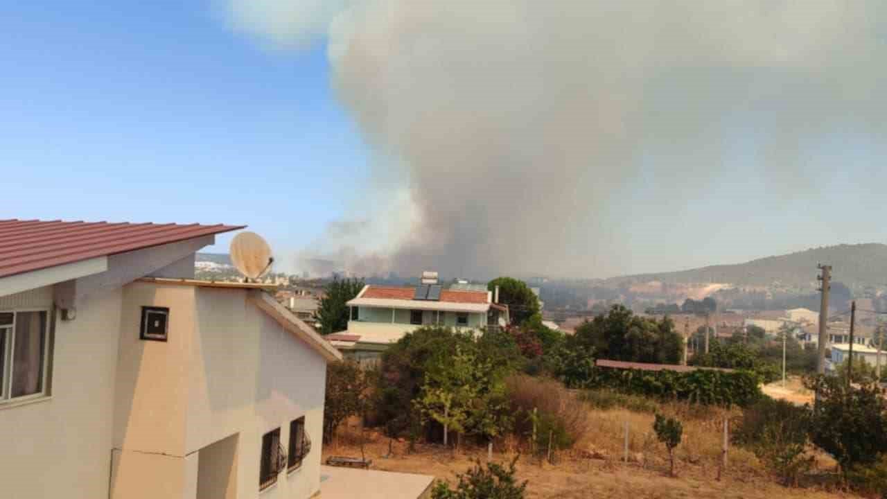 Didim’deki makilik alan yangınını söndürme çalışmaları sürüyor