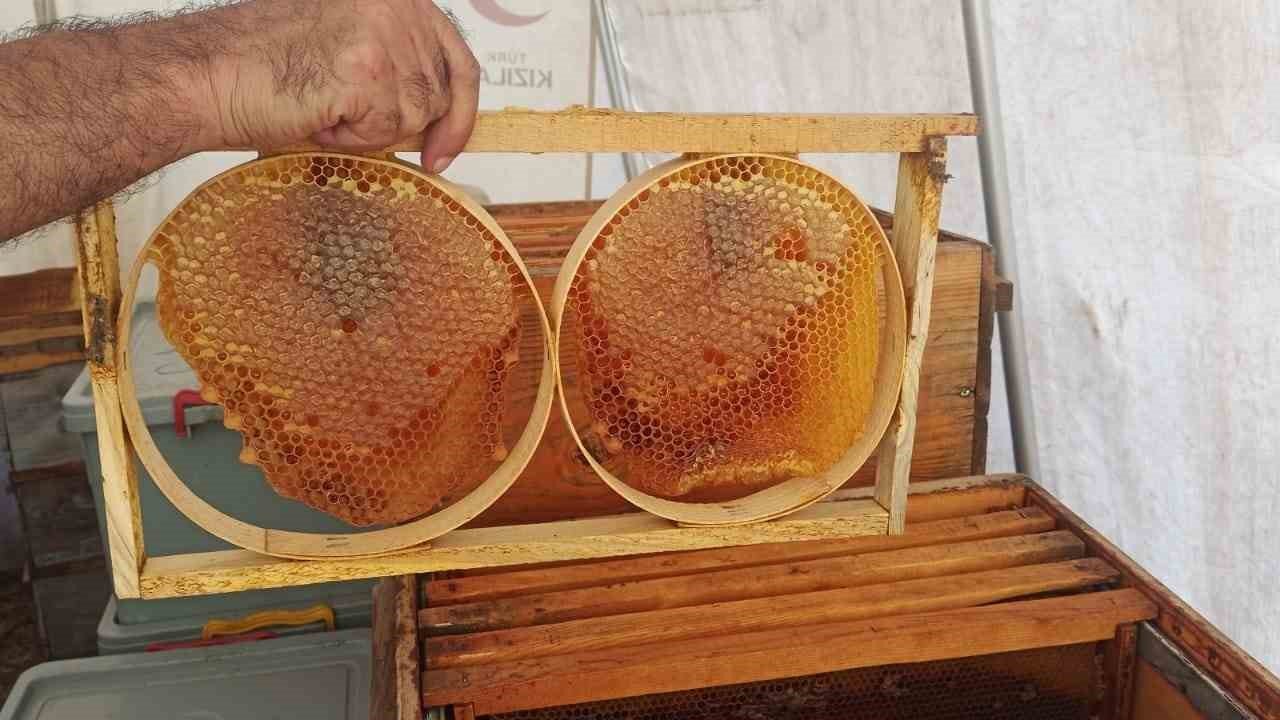 Adıyaman’da bal sağımı yapılıyor