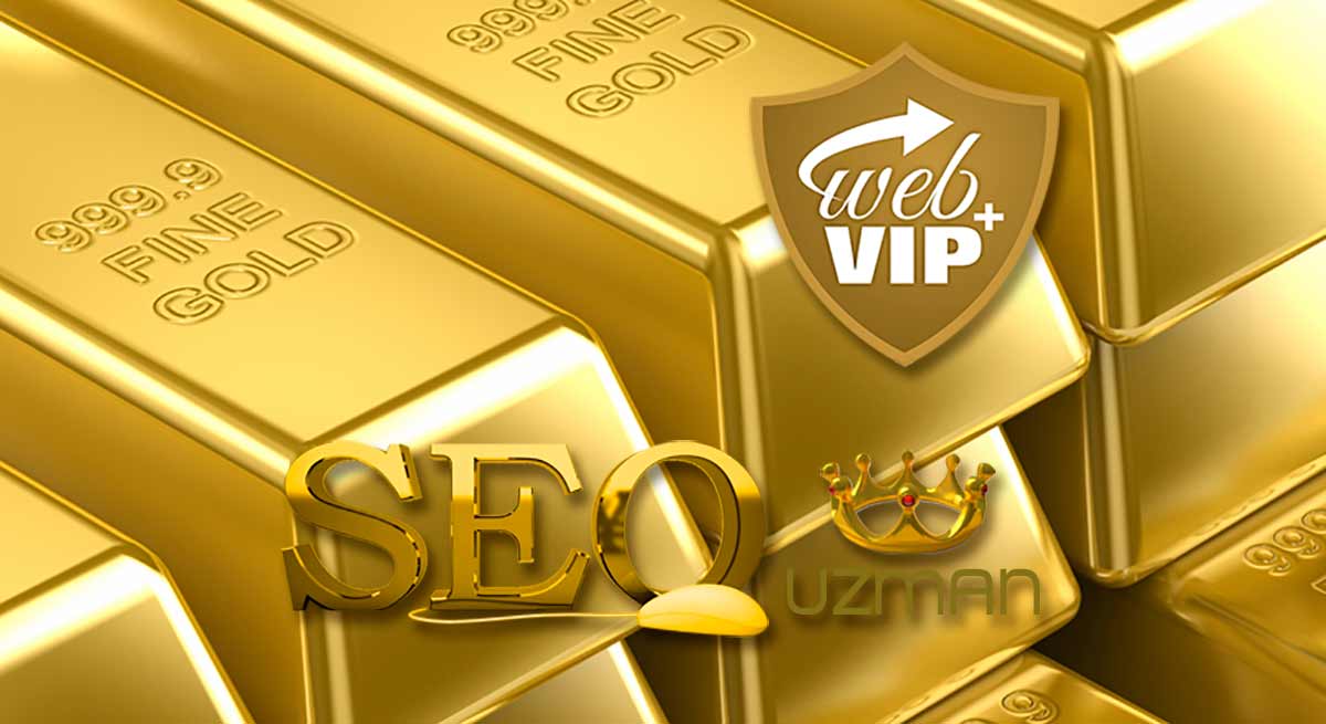 SEO Uzmanı, SEO Danışmanı Nedir?