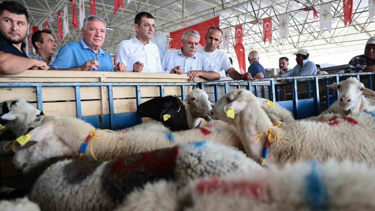 Honaz Belediyesi kadın üreticilerine koyun desteği verildi