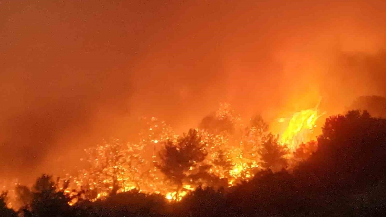 Manisa’daki orman yangını 80’inci saatinde