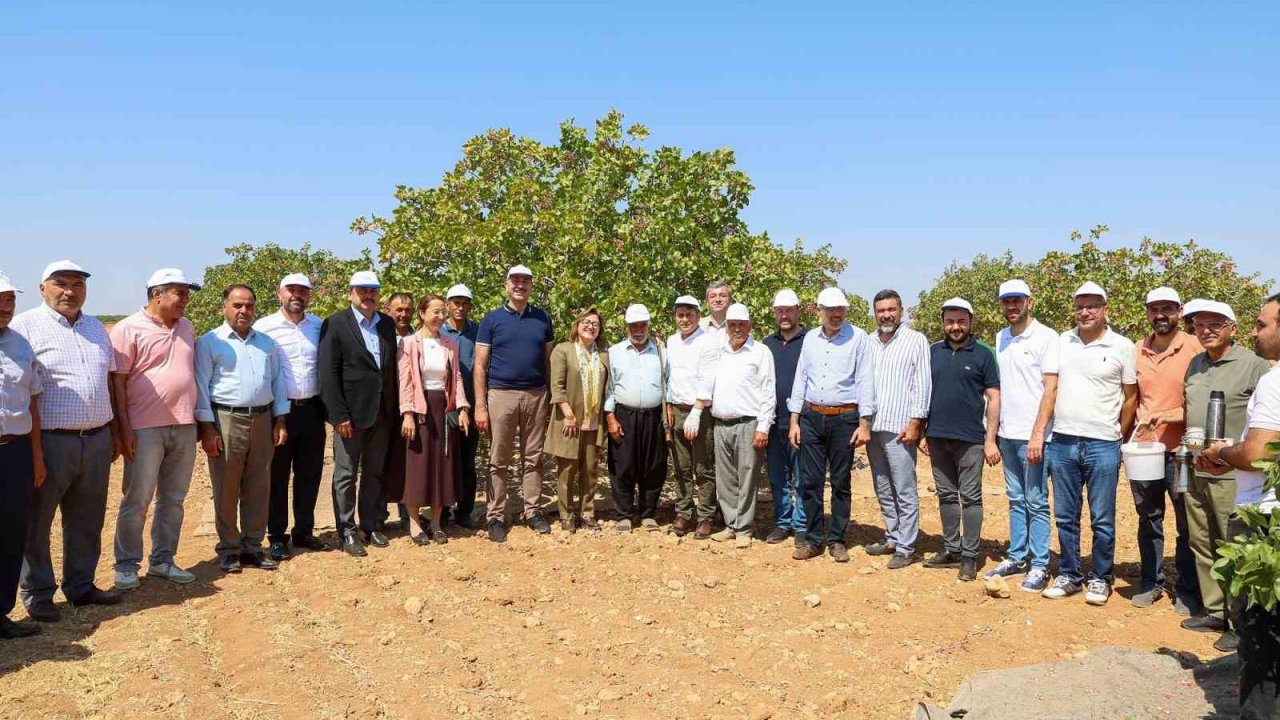 Şahin Barak Ovası’nda hasada katıldı