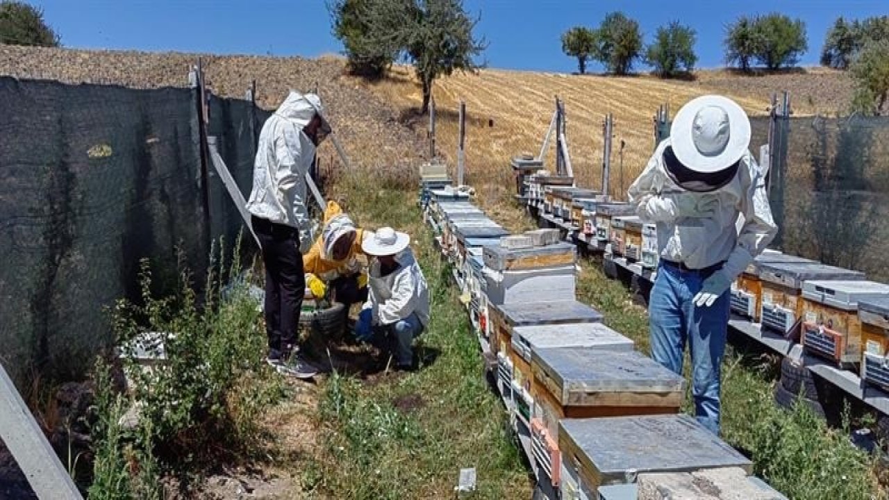 Bilecik’te bal üretimi 88 tondan 221 tona çıktı