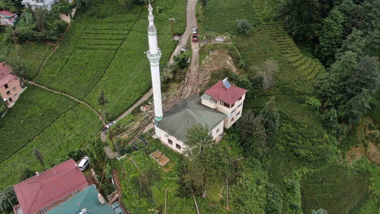 800 yıllık camiyi kurtarmak için çevresindeki ağaçları kestiler