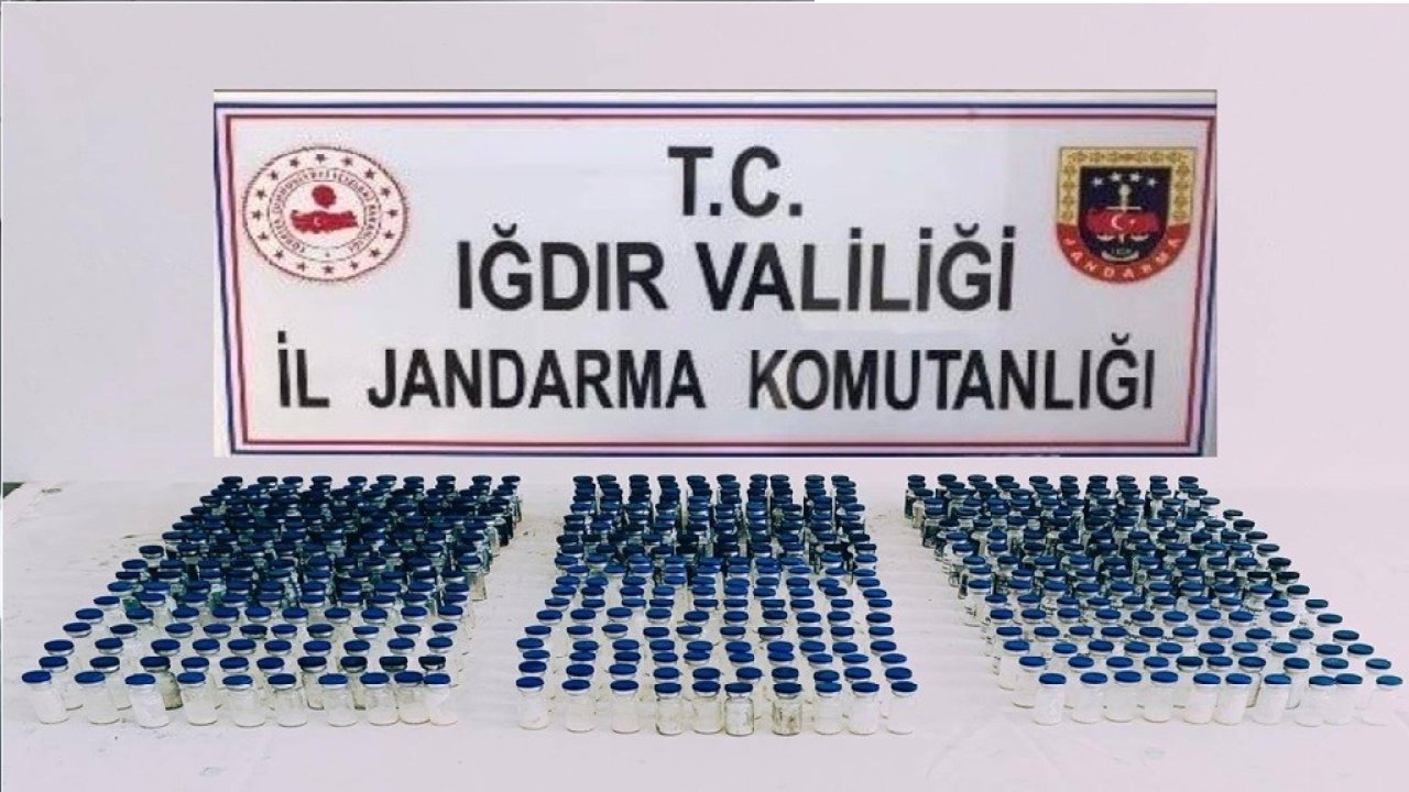 Iğdır İl Jandarma Komutanlığı’ndan kaçak botoks ilaçları operasyonu