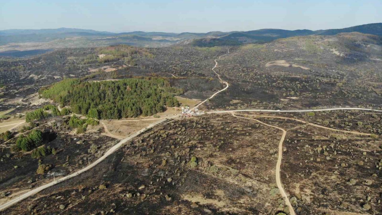 Ankara’dan Bolu’ya sıçrayan yangın 22 saat sonra kontrol altına alındı