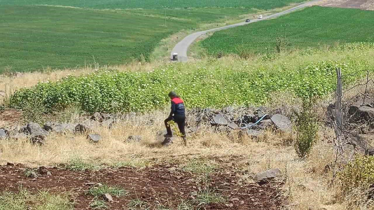 Diyarbakır’da kayıp 8 yaşındaki kız, iz takip köpeği ve dron desteğiyle aranıyor