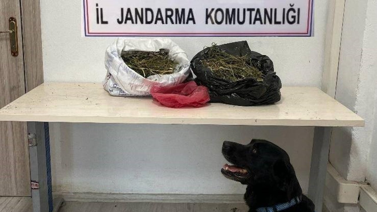 Iğdır’da 22,5 kilogram kubar esrar ele geçirildi