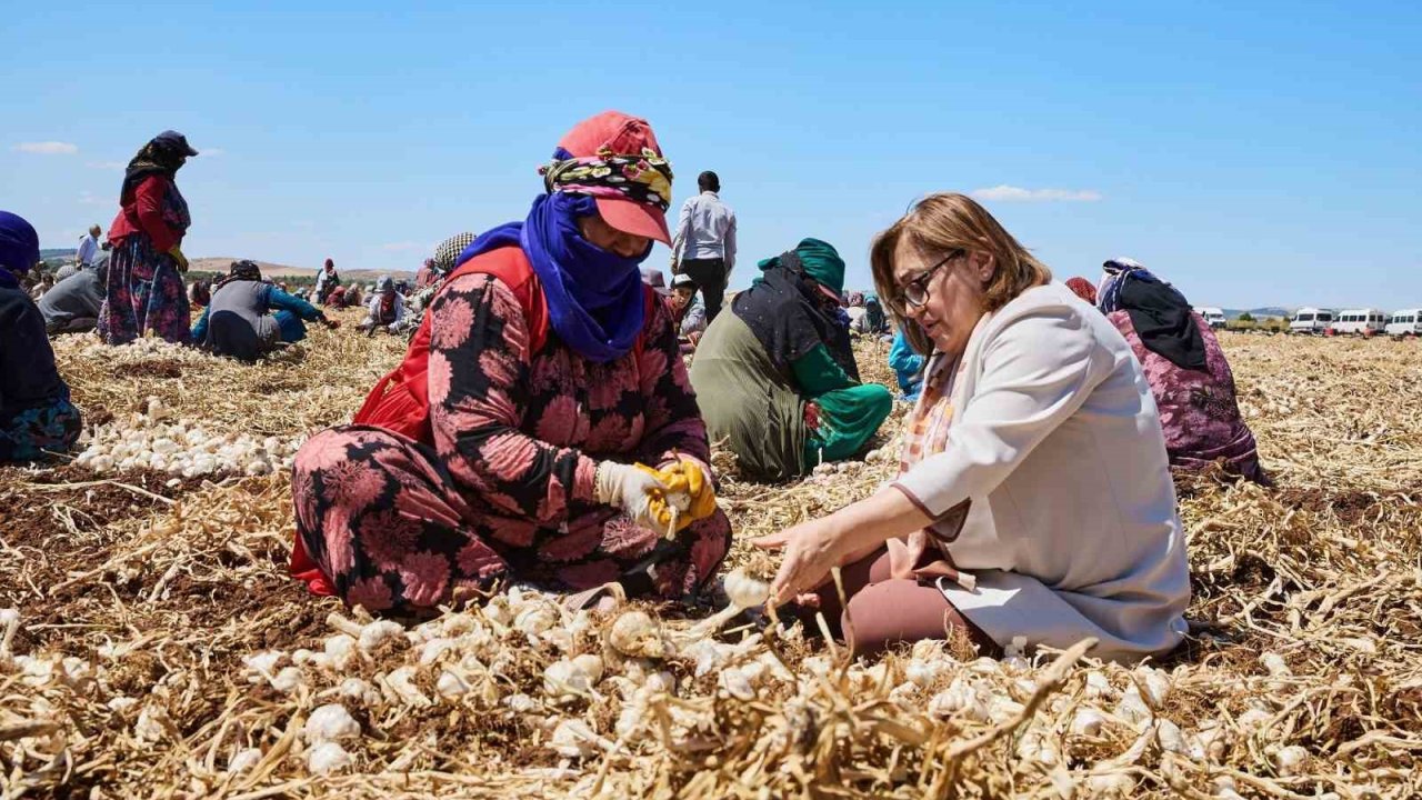 Çiftçiye 8 milyon 432 bin 925 litre mazot desteği verildi