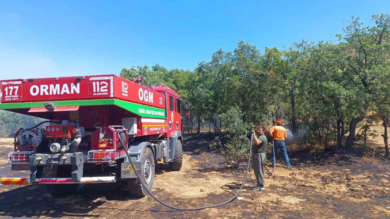 Bingöl’de 6 bölgede çıkan yangınlar söndürüldü