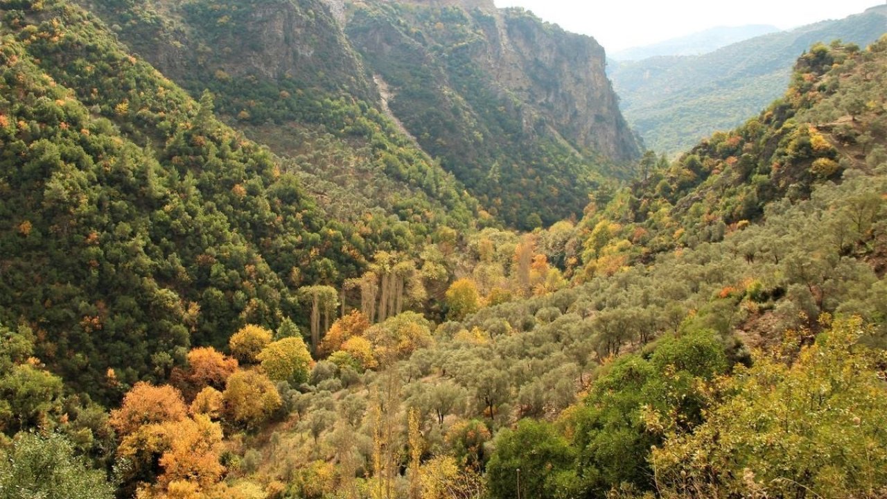 Aydın’ın doğa harikası Koçak Kanyonu, özgün klimasıyla ilgi odağı olmaya devam ediyor