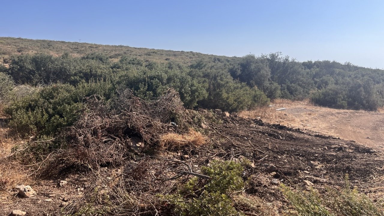 Didim’de hazine arazisinde izinsiz yer açan şahıs jandarmaya takıldı