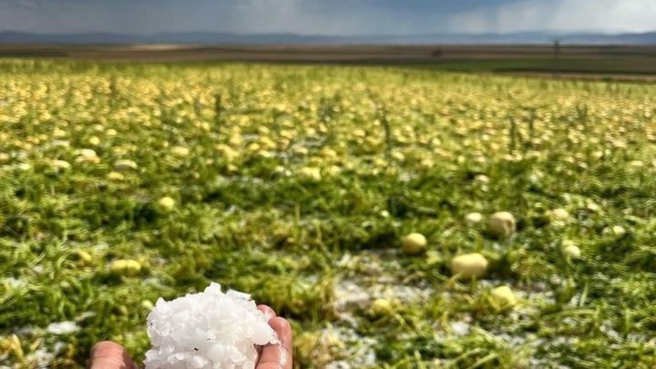 Çifteler ’de sağanak ve dolu yağışı etkili oldu