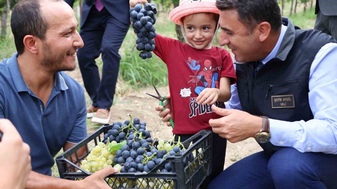 Bilecik’te üzüm hasadı başladı