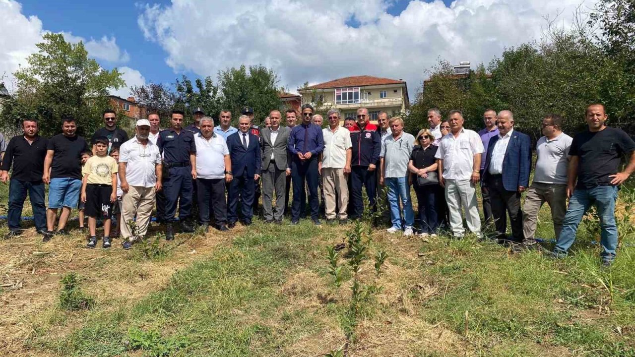 Çaycuma kaymakamı Aronya meyvesi ilk hasadını yaptı