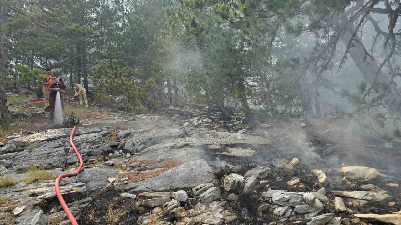 Kazdağları’nda yangına havadan müdahale sürüyor