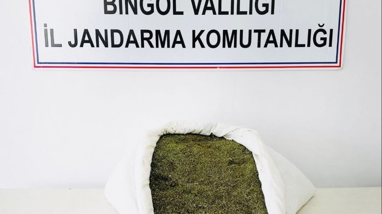 Bingöl’de 17 kilo esrar ele geçirildi