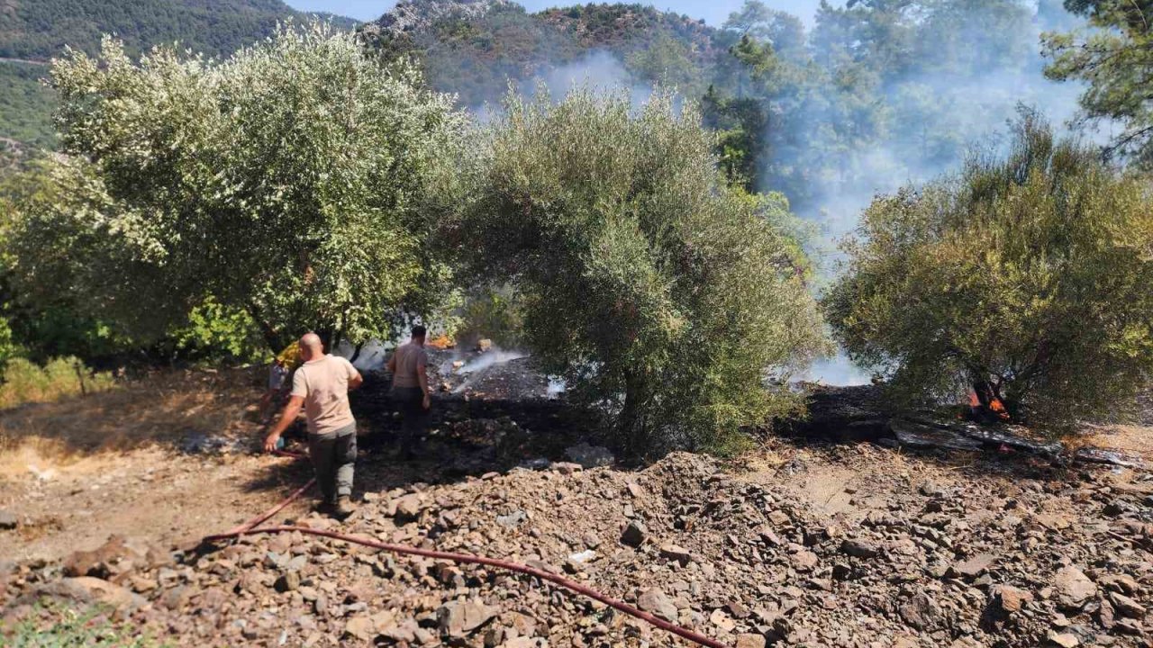 Marmaris’teki orman yangını büyümeden söndürüldü