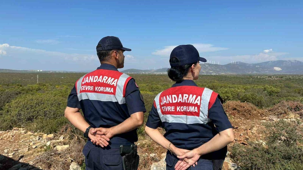 Aydın’da jandarma ekiplerinden Bafa Gölü’ndeki kuş ve balık türlerini korumak için yoğun denetim