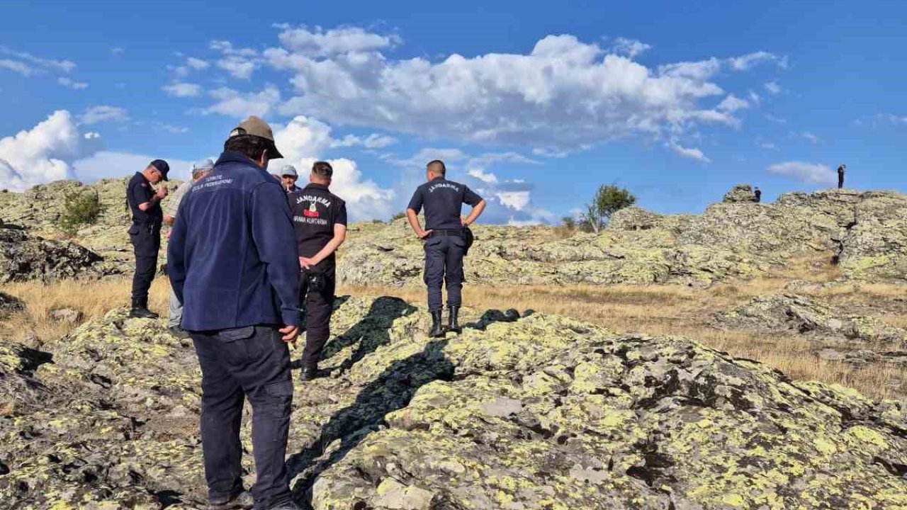 Yabancı uyruklu şahıs ormanda ölü bulundu