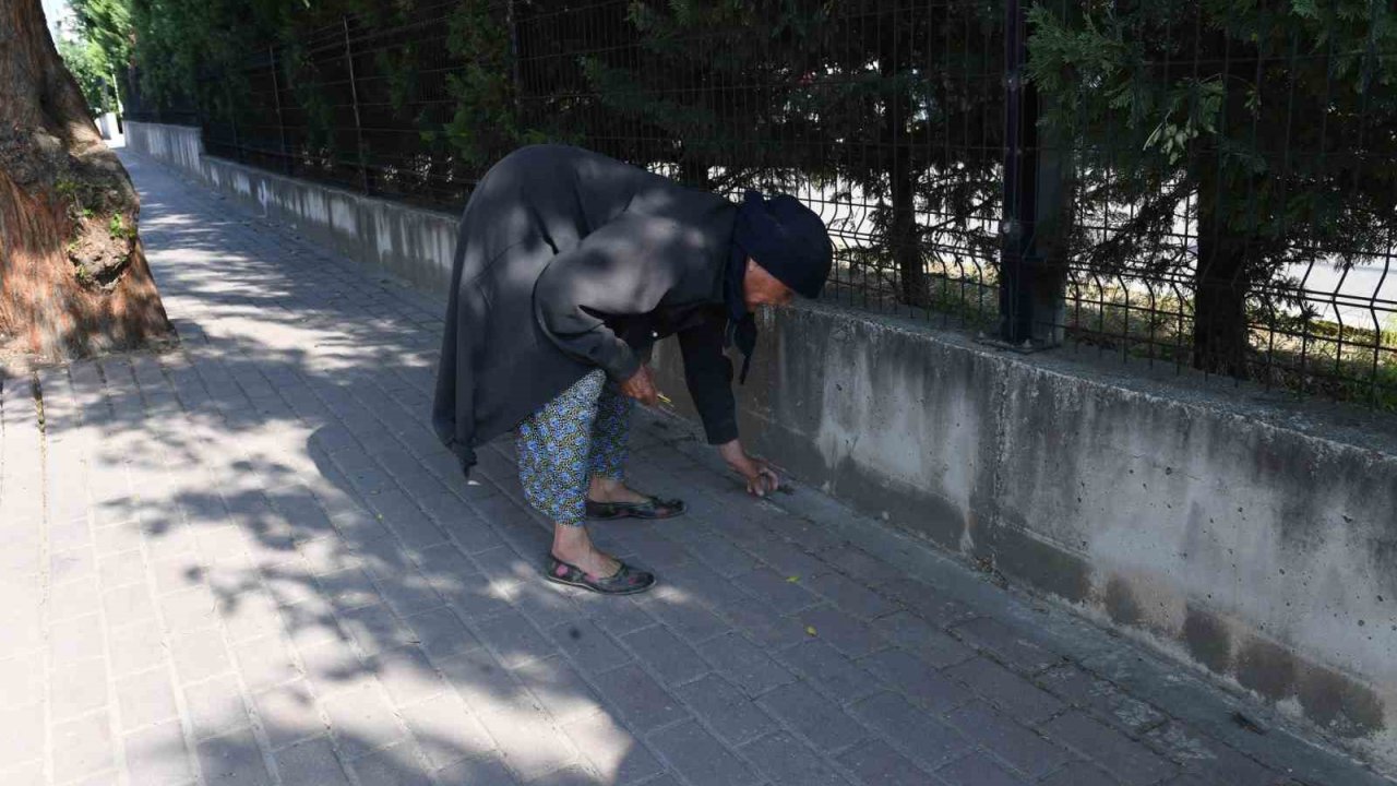 82 yaşındaki Nefise teyzeden örnek çevre hareketi