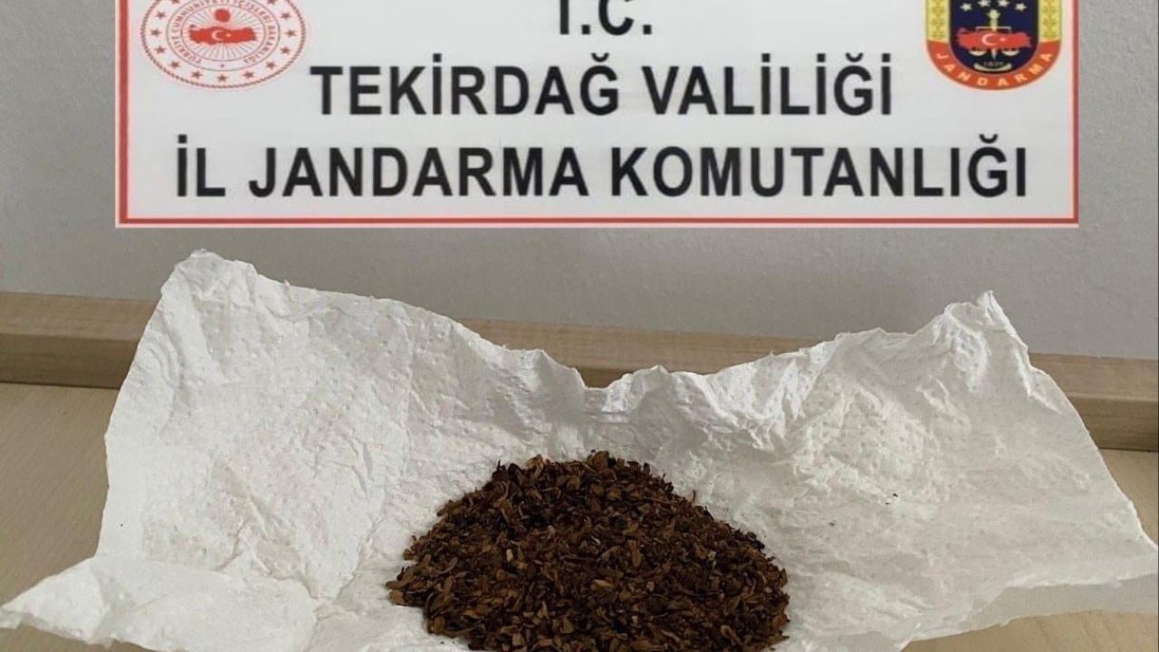 Tekirdağ’da Jandarma operasyonları: Uyuşturucu ve silah ele geçirildi