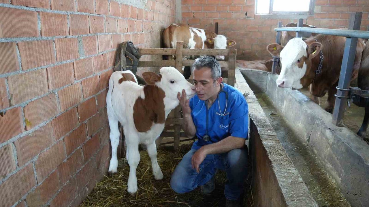 Hayvan sevgisi için hemşireliği bırakıp veteriner hekim oldu