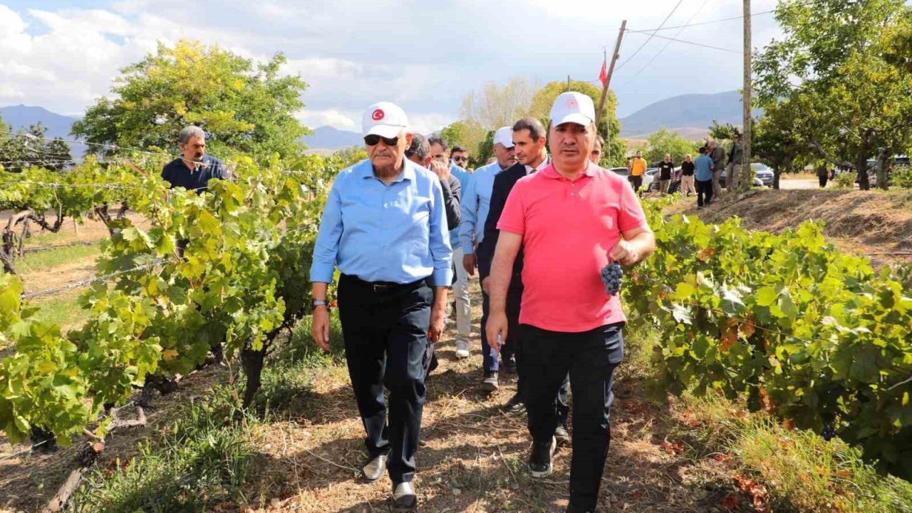 Yıldırım yeni üzüm çeşitleri hakkında bilgi aldı